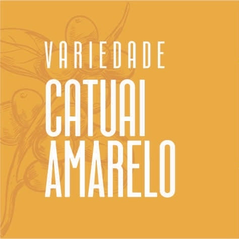 Catuaí Amarelo - 250g e 1Kg