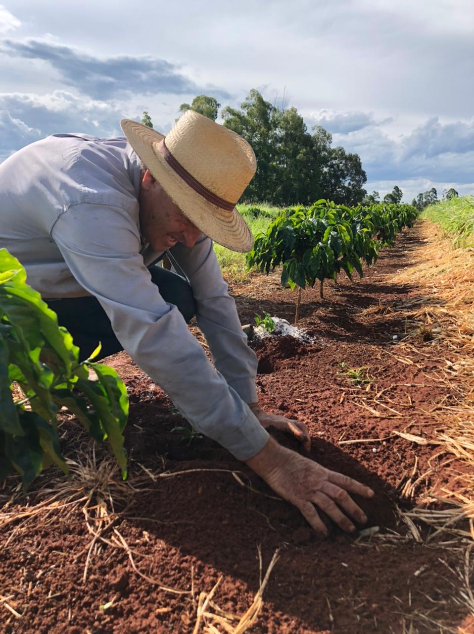 Fazenda Chapadão