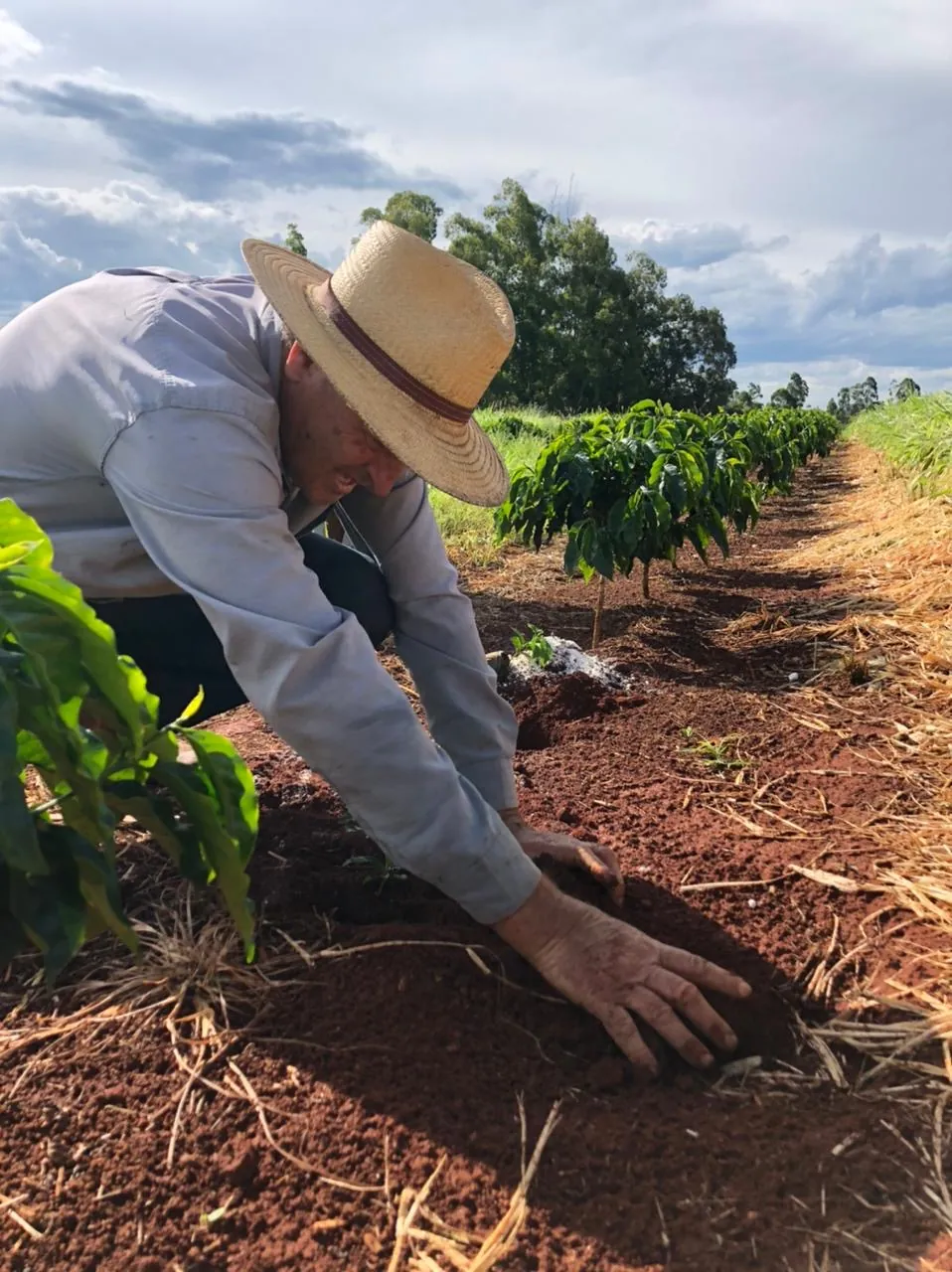 Fazenda Chapadão
