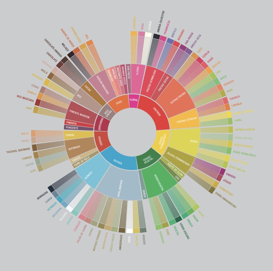 Roda de Aromas SCA — mapa de notas sensoriais do café em português