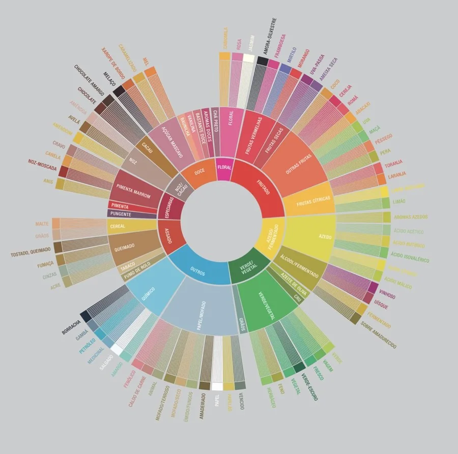 Roda de Aromas SCA — mapa de notas sensoriais do café em português