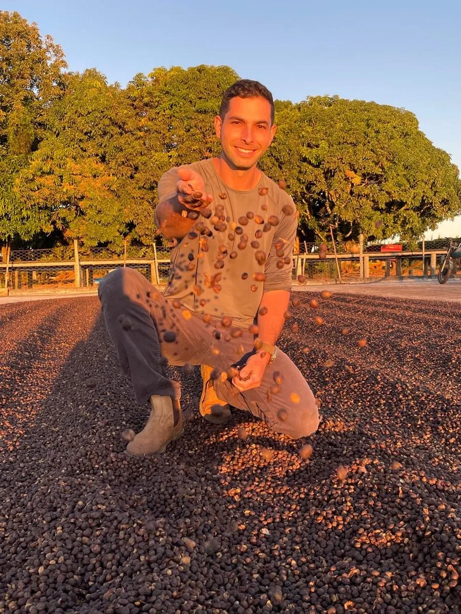 Lote de café especial no terreiro da Fazenda Chapadão ao pôr do sol
